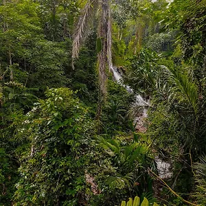 The Sebali فندق