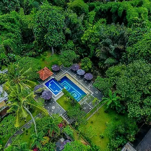 Alas Petulu And Holiday park
